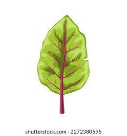 caricatura de hojas frescas de chard. naturaleza orgánica, vegetal verde, sano natural, ensalada, comida vegetariana, condimento de ingrediente chard de hoja fresca ilustración vectorial