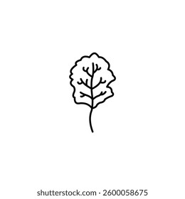 chard icon line illustration icons 