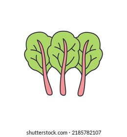 Chard leaf vegetable icon in color, isolated on white background 