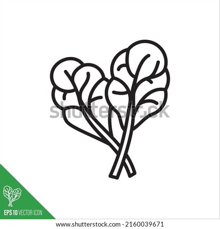 Chard leaves vegetable icon, outlinestyle vector illustration