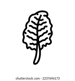 chard salad food line icon vector. chard salad food sign. isolated contour symbol black illustration