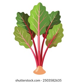 Chard salad, leaf of swiss plant, vegetarian nutrition. Made in cartoon flat style. Vector illustration