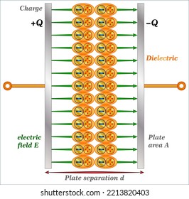 Charge separation in a parallel-plate capacitor causes an internal electric field
