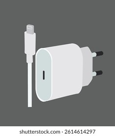 charger and charger cable.Mobile phone charger