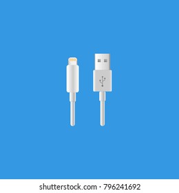Charger vector icon. Usb vector icon. Iphone charger