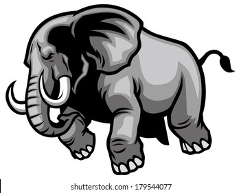 charging elephant