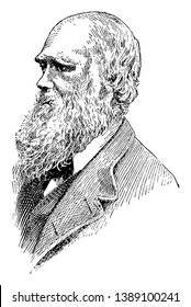 Charles Darwin, 1809-1882, he was an English naturalist, geologist and biologist, famous for his contributions to the science of evolution, vintage line drawing or engraving illustration