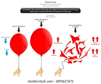 Charles Law Infographic Diagram Example helium balloon when volume increase temperature increase then crumble gas amount pressure constant experiment observation physics science education vector