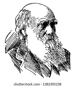 Charles Robert Darwin, 1809-1882, he was an English naturalist, geologist and biologist, famous for his contributions to the science of evolution, vintage line drawing or engraving illustration