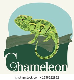 Charmeleon Lizard vector animal forest