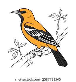 Charming Altamira Oriole Bird Design. Concept of Bird Design.