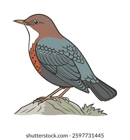 Charming American Dipper Bird Artwork. Concept of Bird Design.