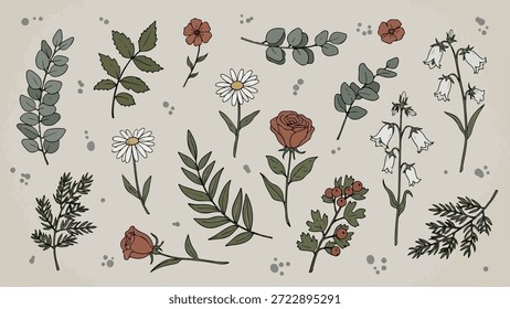 Una encantadora variedad de ilustraciones botánicas dibujadas a mano con varias flores, hojas y ramas, perfectas para diseños naturales y orgánicos.