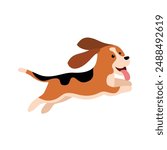 Charming Basset Hound Dog Vector Illustration
