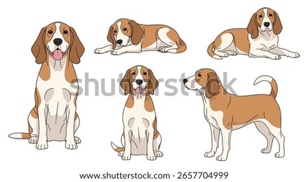 Charming beagle dog poses collection illustrating various friendly canine activities