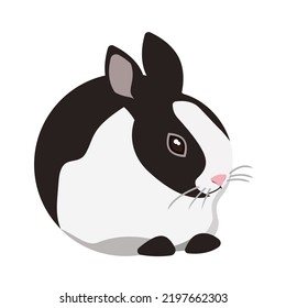 A charming black and white rabbit.isolated on a white background.Vector illustration of an animal.The symbol of 2023 can be used in textiles, postcards.