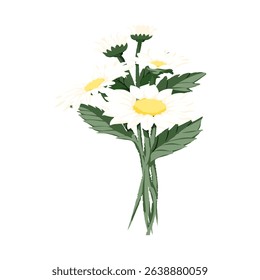 A charming bunch of white daisies with yellow centers and green leaves, ideal for springtime designs, greeting cards, and floral arrangements.