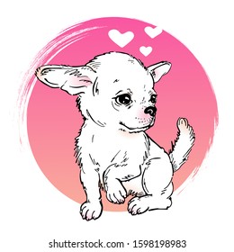 Charming chihuahua in love. Image for Valentine's Day