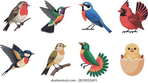A charming collection of colorful bird illustrations featuring various songbirds, a hummingbird, cardinal, robin, tropical bird, and baby chick. Suitable for nature-themed designs, children’s products, educational materials, greeting cards, spring artwork, and decorative print projects.