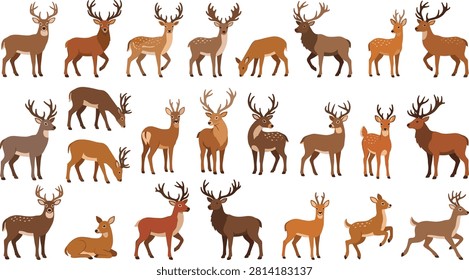 A charming collection of deer vector illustrations featuring stags, bucks, does, fawns, and grazing deer in various natural poses isolated on a white background. Perfect for wildlife projects, forest-themed designs, educational materials, greeting cards, nursery decor, nature branding, and outdoor adventure illustrations.