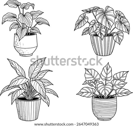 Charming Collection of Hand Drawn Potted Plants Whimsical Botanical Illustrations for Home Decor and Nature Enthusiasts Featuring Various Leaf Shapes