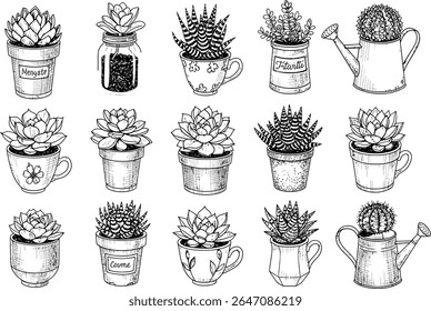 A charming collection of hand-painted succulents and cactus plants displayed in various pots, such as traditional terracotta, mugs, watering cans and glass jars, is a lovely plant composition perfect 