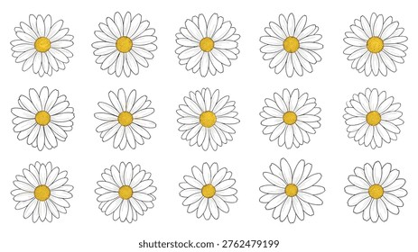 Charming collection of intricately detailed daisy flowers, each featuring a vibrant yellow center and delicate textured petals on a pristine white background.