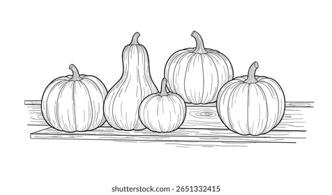 A charming collection of various gourds and pumpkins artfully arranged on a rustic surface creating a delightful autumnal scene for your decorative needs