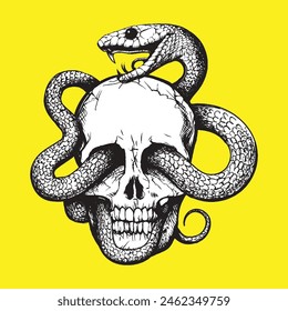 Charming Creatures: Skull Snake Artwork