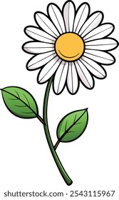 Charming Daisy Flower Vector Illustration Capturing the Freshness of Nature