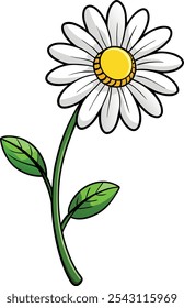 Charming Daisy Flower Vector Illustration Capturing the Freshness of Nature