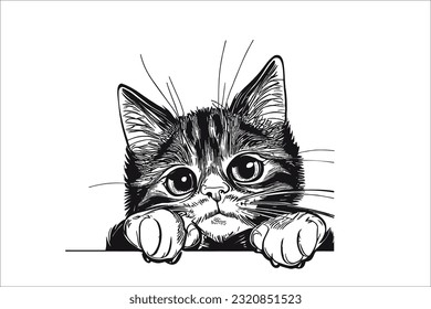 Charming depiction of an adorable cat with a curious peek, perfect for enhancing various projects. Ideal for creative use, design projects, and artistic endeavors.