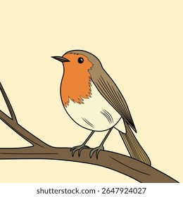 Charmoso europeu Robin Bird ilustração bonito selvagem esboço