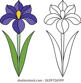A charming flat vector illustration showcases two iris flowers, one rendered in vibrant color and the other as a clean outline. This versatile design features a beautiful purple, blue and yellow bloom