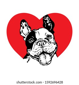 Charming french bulldog against the background of a red heart. Stylish image for St. Valentine's Day