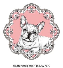 
Charming french bulldog in a vintage frame. Illustration of a dog in retro style. Image for printing on clothes.