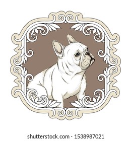 
Charming french bulldog in a vintage frame. Retro style illustration with a cute white dog.