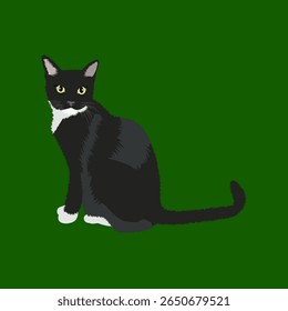 A charming graphic illustration of a tuxedo cat with black fur, white paws, a white chest bib, and a white muzzle, sitting alertly against a solid green background. 
