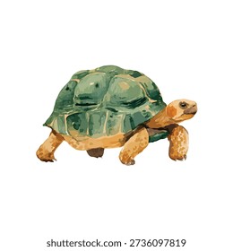 Charming green turtle vector illustration with a vibrant shell, ideal for educational content, children's books, or nature-themed designs.