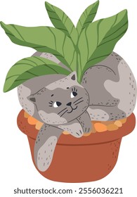 Charming grey cat nestled in a terracotta pot, playfully interacting with vibrant green leaves, capturing a scene of feline contentment and domestic tranquility