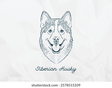 A charming hand-drawn line art of a happy, smiling Siberian Husky dog breed portrait paper background in a minimalist doodle style. Perfect for greeting cards, prints, posters, and pet-themed designs.