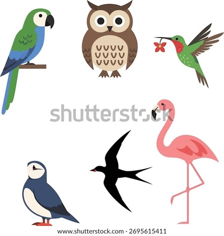 A charming illustration featuring a parrot, owl, hummingbird, flamingo, puffin, and swallow in a playful, scattered composition.