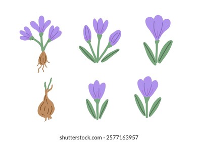 A charming illustration featuring spring flowers and bulbs with vibrant purple petals and green leaves.