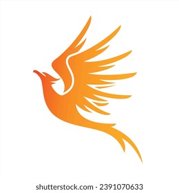Charming Illustration phoenix, bird illustrations for icons or logos