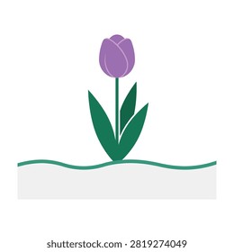 Charming illustration of a purple tulip sprouting from a patch of green grass. Minimalist design suitable for spring themes, gardening, nature, and floral backgrounds.