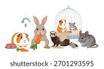 A charming illustration showcasing a variety of common pet animals, including a rabbit, guinea pigs, a ferret, mouse, hamster, and chinchilla.
