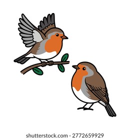 Charming illustration of two robins, one soaring and one resting on a twig.