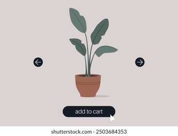 A charming indoor plant ready for a cozy home, displayed with simple navigation options for easy online shopping