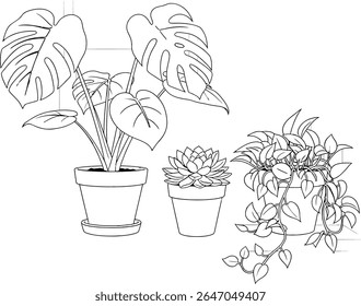Charming Indoor Plants A Trio of Greenery Featuring Monstera Succulent and Trailing Pothos Adding Life to Interiors