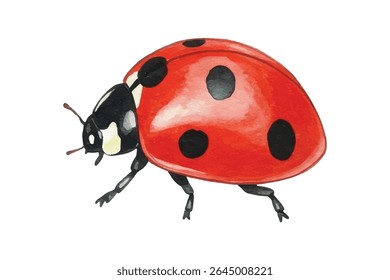 Charming  ladybugs with vivid red shells and delicate spots-perfect for spring decor, children's designs, or nature-inspired art. Whimsical, lively, and bursting with character.